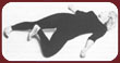 Crocodile Exercises