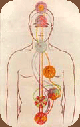 Chakra Meditation Techniques