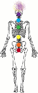 Chakras