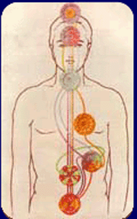 chakras by Leadbeater