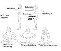 Complete Yoga Breath