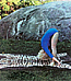 3rd and 4th steps of the Moon Salutation