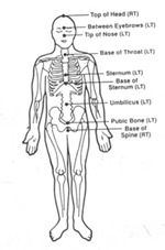 Main Central Vertical Flow