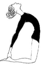 Camel Pose