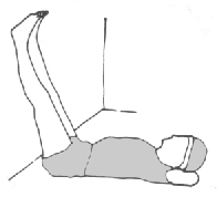 Preliminary to Shoulder Stand and Plough