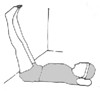 Preliminary to Plough and Shoulder Stand