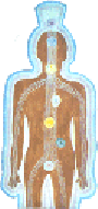 The Aura by Zeev Kolman